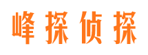 大冶市调查公司